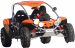 PGO BugRacer 500i