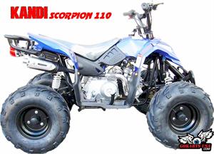 Kandi Scorpion 110 ATV