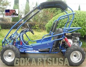 TrailMaster 196cc MID XRX Kids Buggy Go Kart